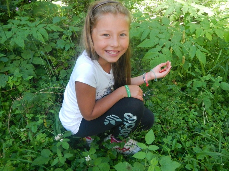 Village Camps International Summer Camp Leysin, Switzerland 2025-08-09 https://www.villagecamps.com/journals_admin/images/706-12-greenies (50).jpg